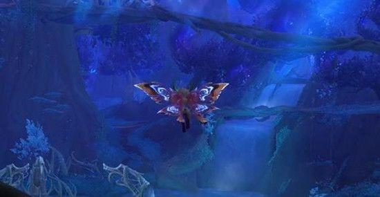 寻找火鸡