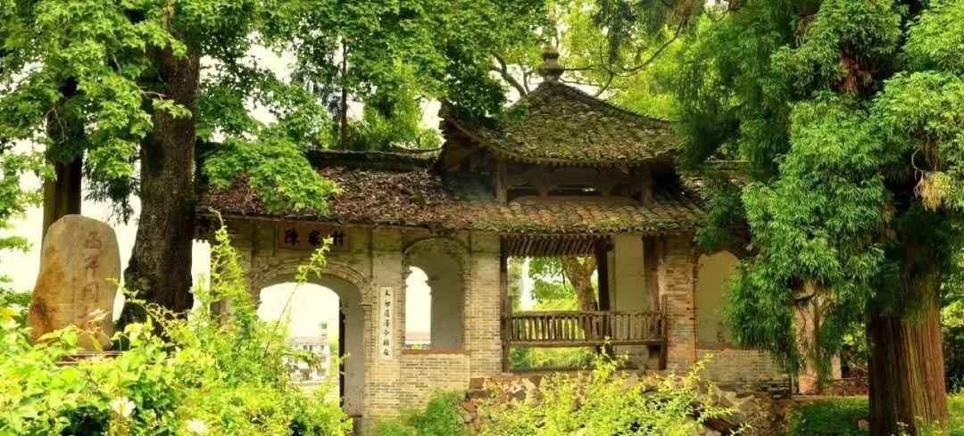 金建希被曝收受名牌包包,尹锡悦保护爱妻免受司法追责