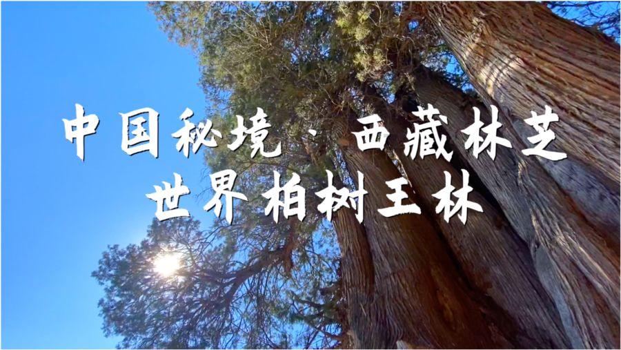 辐射4