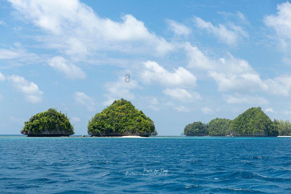 赵璟王青峰调研中心城区历史文化建筑工作