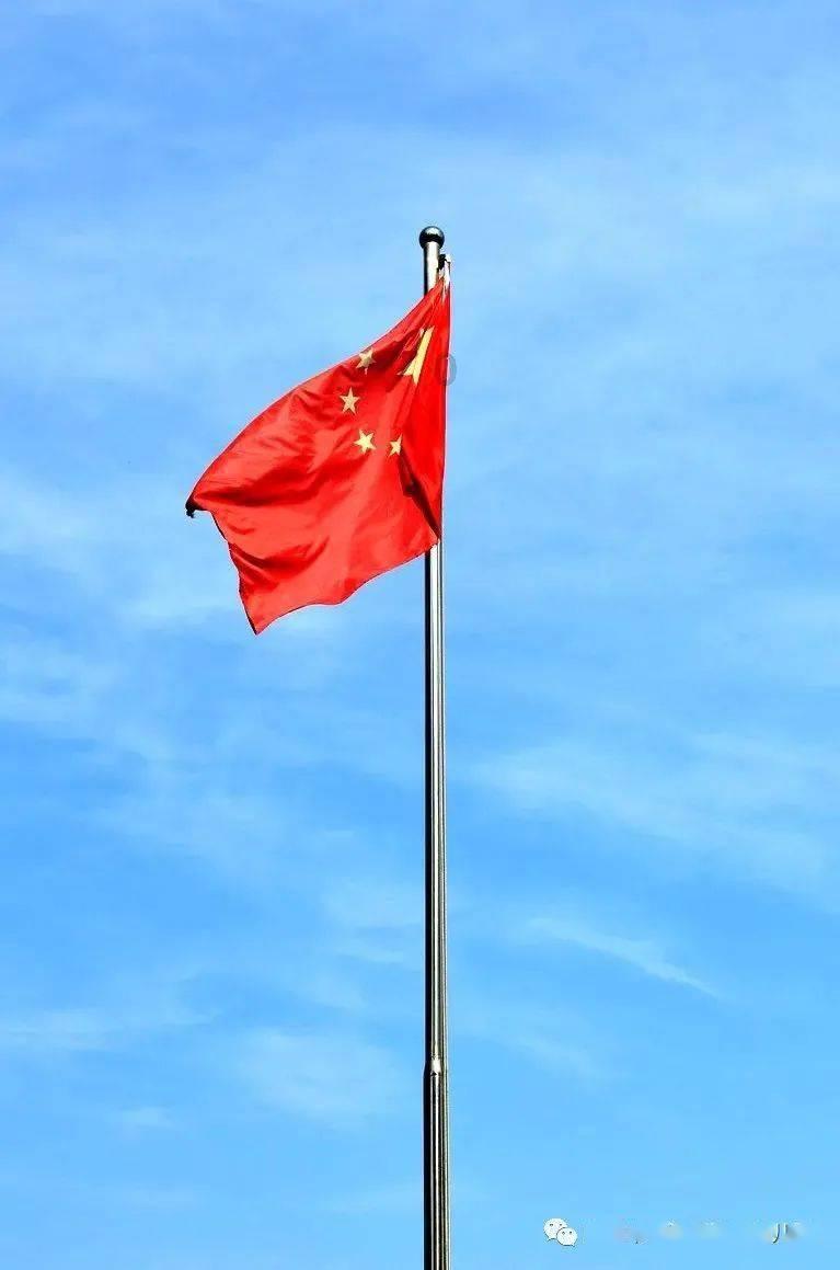 一块长方形的菜地的边长是9.5米,它的面积是多少平方米?-专家解答,快速解决您的问题
